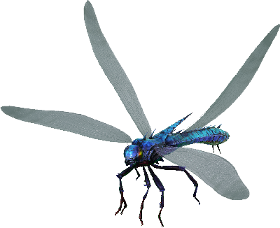 Meganeura